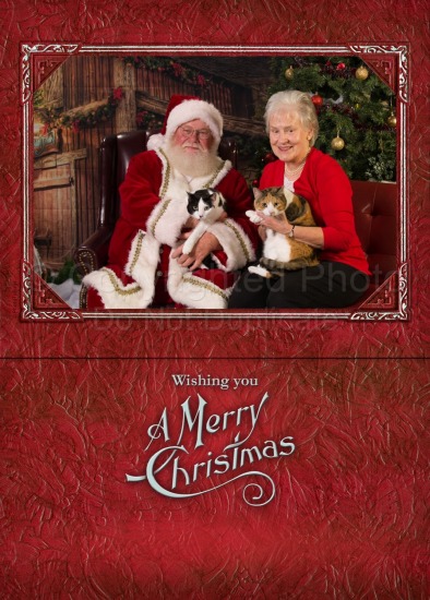 Holiday &specialty Cards 